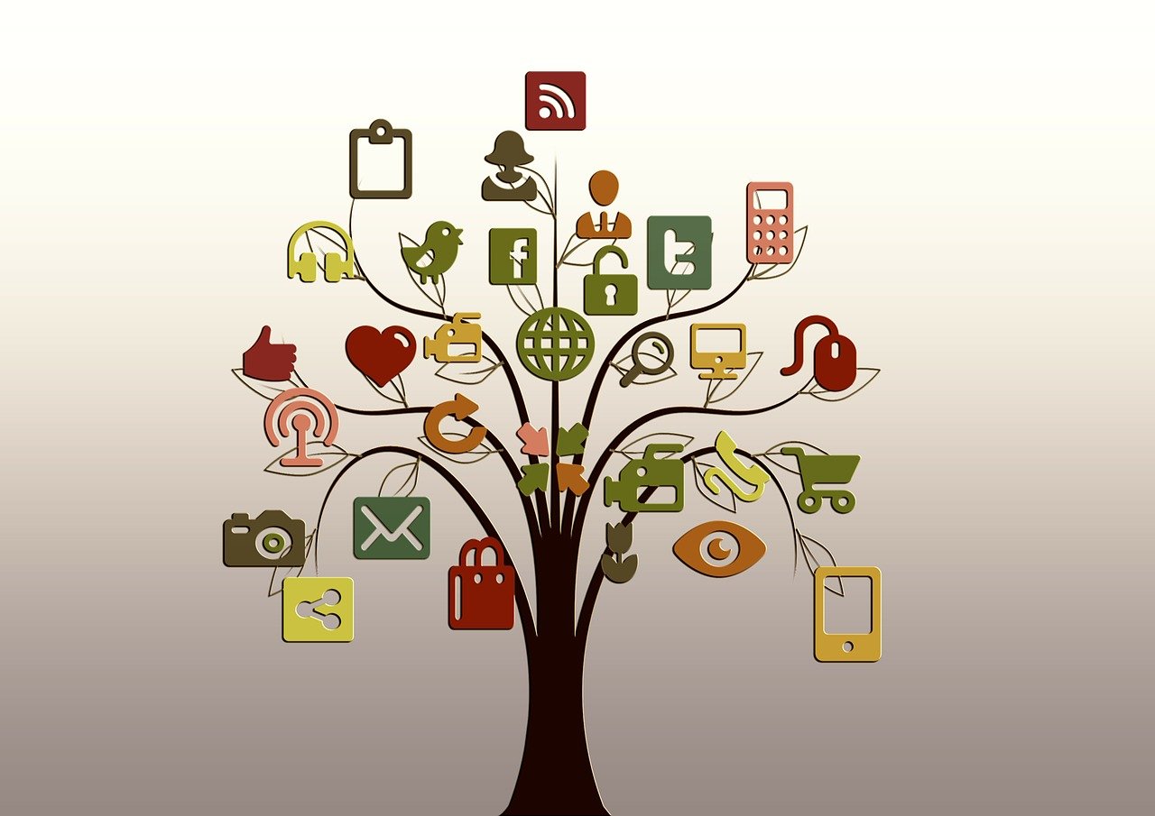 tree, tiktok, structure, networks, internet, network, social, social network, logo, facebook, google, nature, social networking, networking, social media, icon, website, presentation, multimedia