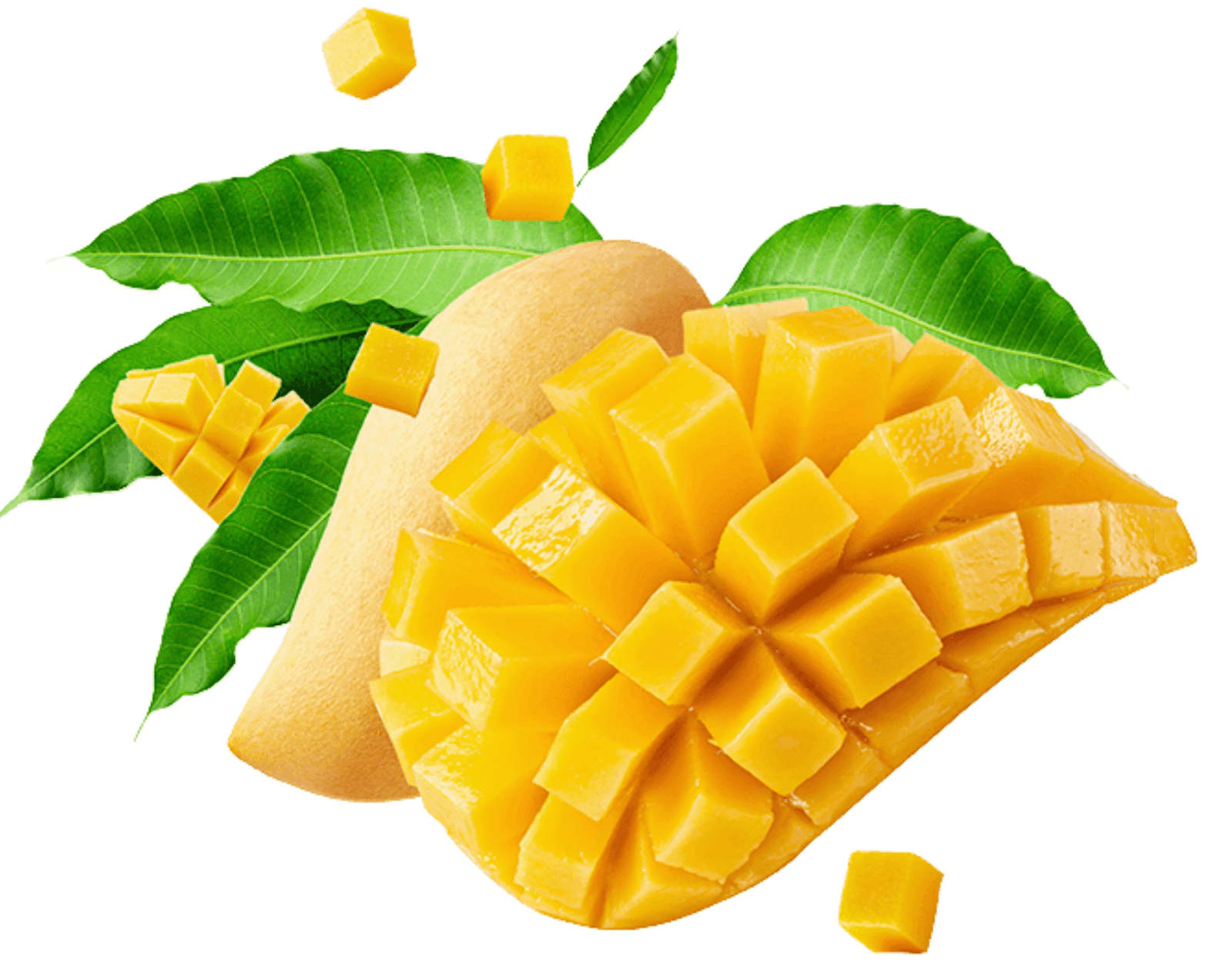 SM Agri Foods (4)
